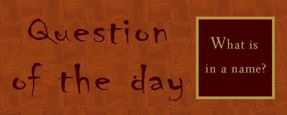 Question of the day9