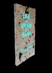 life-in-a-grain